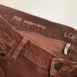 Ann Taylor Loft cords